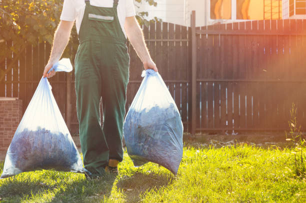 Best Junk Hauling Services  in Camanche, IA