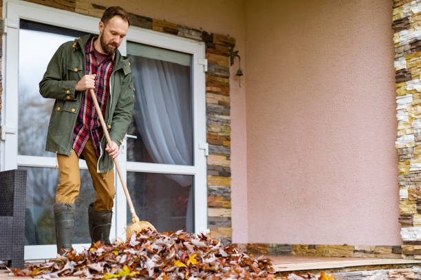 Best Yard Cleanup Services  in Camanche, IA
